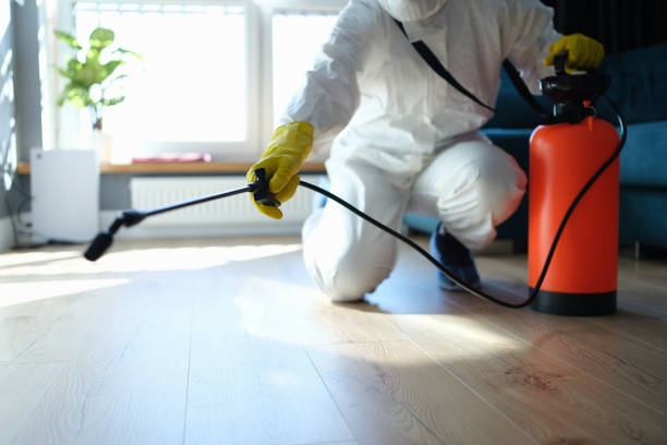 Trusted Unattended Death Cleanup service in O'Fallon, IL - Four Month Blood Cleanse